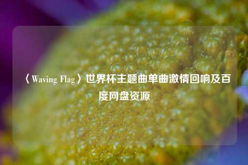 〈Waving Flag〉世界杯主题曲单曲***回响及百度网盘资源