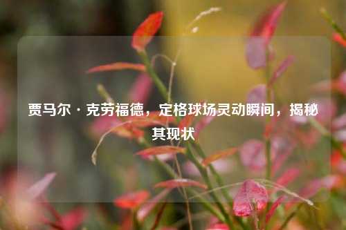 贾马尔·克劳福德,定格球场灵动瞬间,揭秘其现状