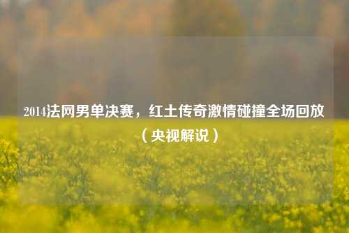 2014法网男单决赛,红土传奇***碰撞全场回放(央视解说)