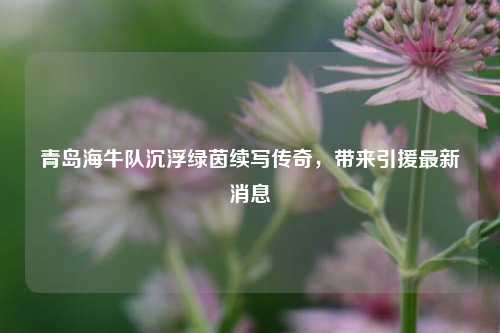 青岛海牛队沉浮绿茵续写传奇,带来引援最新消息