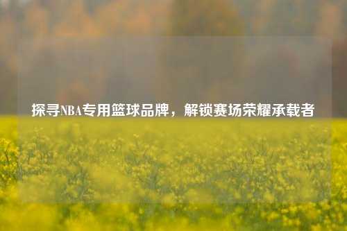 探寻NBA专用篮球品牌,解锁赛场荣耀承载者
