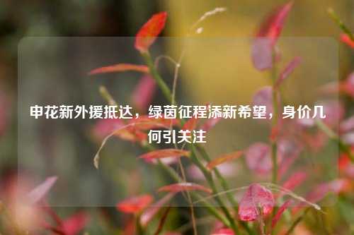 申花新外援抵达,绿茵征程添新希望,身价几何引关注