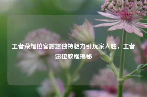 王者荣耀拉客露露独特魅力引玩家入胜,王者露拉教程揭秘