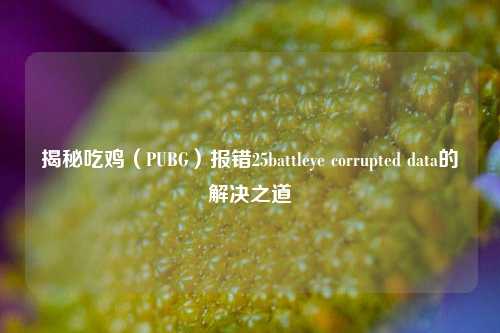 揭秘吃鸡(PUBG)报错25battleye corrupted data的解决之道
