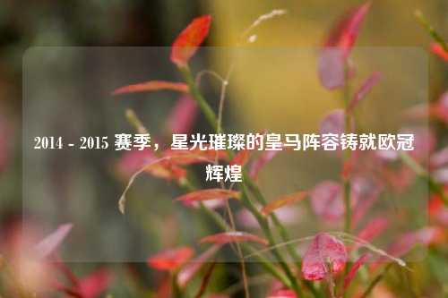 2014 - 2015 赛季,星光璀璨的皇马阵容铸就欧冠辉煌