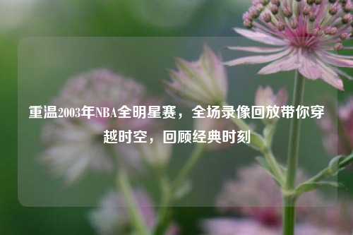 重温2003年NBA全明星赛,全场录像回放带你穿越时空,回顾经典时刻