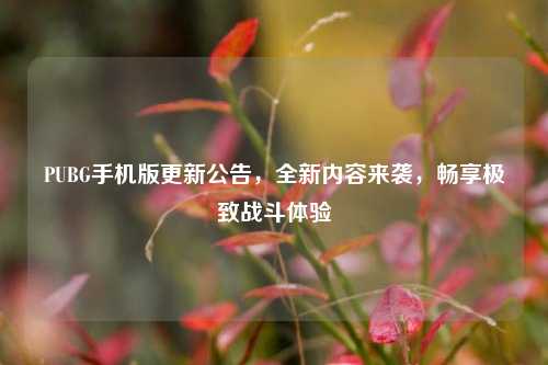 PUBG手机版更新公告,全新内容来袭,畅享极致战斗体验