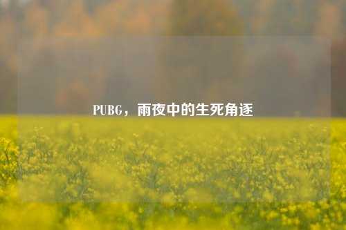 PUBG,雨夜中的生死角逐