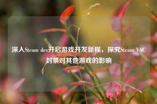深入Steam dev开启游戏开发新程,探究Steam VAC封禁对其他游戏的影响