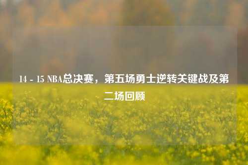 14 - 15 NBA总决赛，第五场勇士逆转关键战及第二场回顾