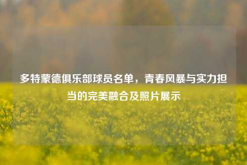 多特蒙德俱乐部球员名单，青春风暴与实力担当的完美融合及照片展示