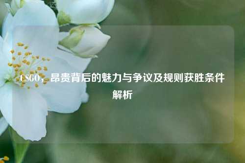 CSGO,昂贵背后的魅力与争议及规则获胜条件解析