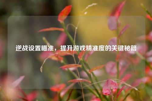 逆战设置瞄准，提升游戏精准度的关键秘籍