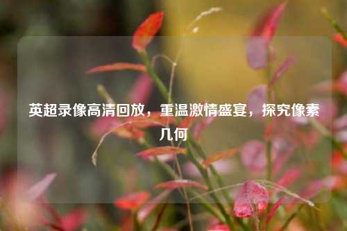 英超录像高清回放，重温激情盛宴，探究像素几何