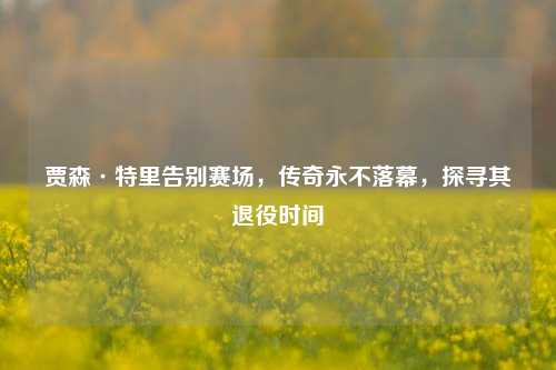贾森·特里告别赛场，传奇永不落幕，探寻其退役时间