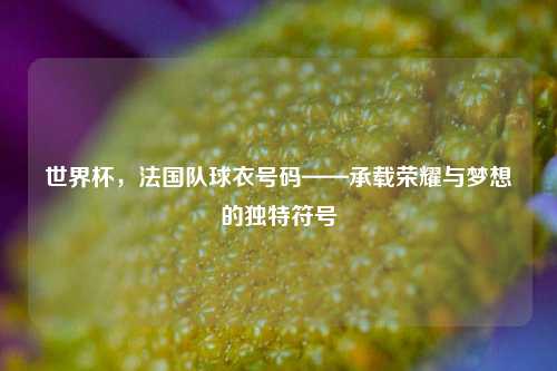 世界杯，法国队球衣号码——承载荣耀与梦想的独特符号